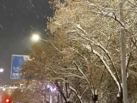 暴雪阻碍交通,鹤岗27、28、29路公交车停运#鹤岗暴雪#公交停运