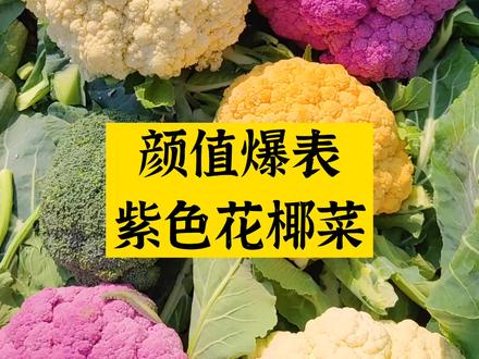 紫色花椰菜,颜值、口感、营养都在线,富含花清素~#种菜 #抖音助农 #种植 @DOU+小助手