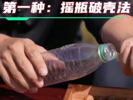 榛子壳别硬磕!矿泉水瓶秒变剥壳神器~ #中国乡土宝藏#榛子剥壳#生活小妙招#居家神器