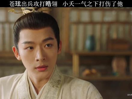 小夭生气打伤了苍玄 但是最生气的还是辰荣馨悦##张晚意