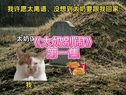 第1集《太奶别闹》 #猫meme #猫meme故事 #猫meme日常 #超爆小故事