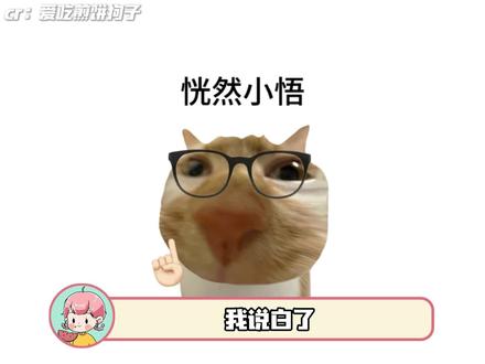 疑似主包喝雪王喝大了(@爱吃煎饼狗子)#蜜雪冰城 #黄仁勋 #抽象 #万万没想到