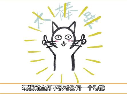 猫箱懂你的生活#实用效能#猫箱