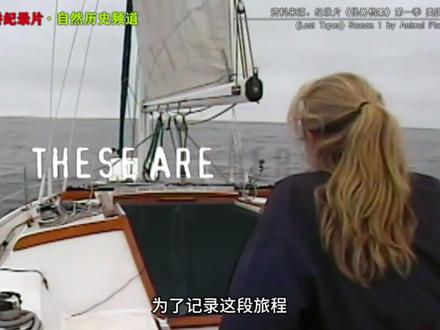 纪录片《未知生物档案》S1 E2 P1 #精讲纪录片 #百科故事会 #未解之谜 #航海惊魂 #海洋恐怖故事
26岁女记者莎朗·诺瓦克,独自开启环球航行冒险,凭借强大意志力,在海上漂泊171天,距离终点仅剩几小时。她对着直播镜头分享喜悦,与亲友憧憬上岸生活时,意外突然降临——帆船莫名撞击不明物体,引擎失灵。莎朗下水检查,仅模糊看到疑似大型海洋生物,简单处理后重启引擎。可诡异的是,无线电突然传来断断续续的求救信号,来自附近的卡胡纳号,对方哭喊着有不明东西攻击船只,信号很快中断。作为该海域唯一船只,莎朗放弃上岸,调转船头前往救援,可当她靠近目标海域,眼前的景象让她瞬间头皮发麻,未知的危险正悄然逼近。