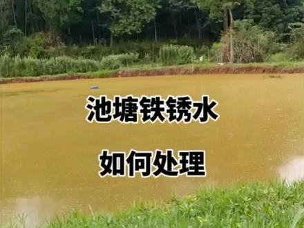 池塘铁锈水如何处理#水产养殖 #四大家鱼养殖 #鱼虾蟹养殖 #花白鲢养殖 #水产人