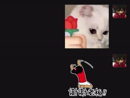 六分钟什么都不会得到 只会创造一个新的小丑#打直球 #表白