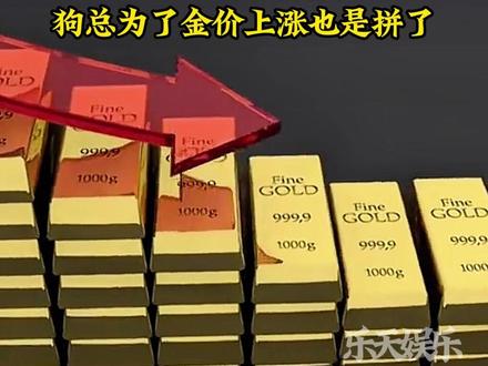 狗总为了金价上涨也是拼了#狗总每日直播总结 #狗总每晚8点半直播 #狗总