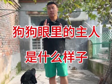 狗狗眼里的主人是什么样子呢?#养狗经验分享 #科学养宠攻略 #萌宠出道计划