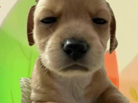 再说一遍 给我续火花!!!#续火花 #抖音日常