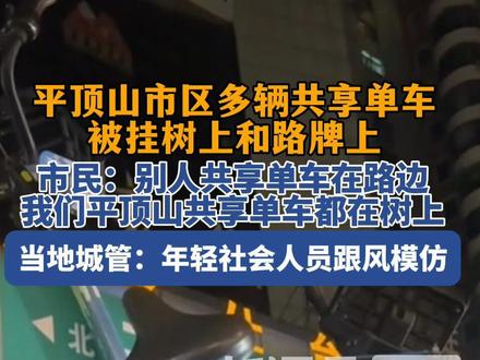 平顶山市区多辆共享单车被挂树上,城管回应