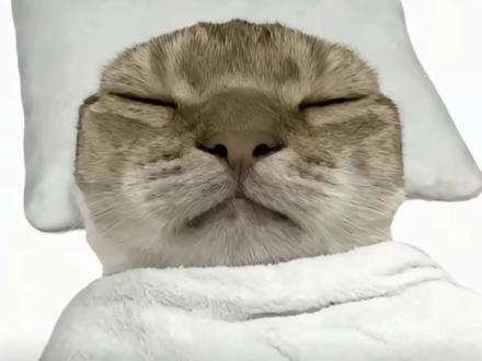 #哈吉米#红米k80至尊版 #实用 #小米澎湃OS3体验 #动态熄屏显示