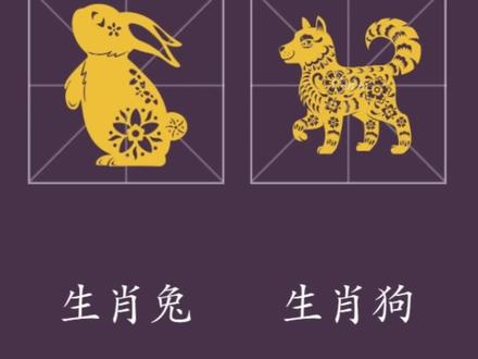 生肖兔与狗居然是相合的,屏幕前的你是不是没想到呢?来看看到底是怎么回事。#生肖 #文化 #国学智慧
