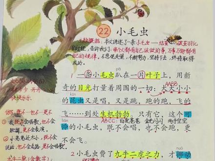 #二年级下册语文 二年级下册语文《小毛虫》#学习笔记