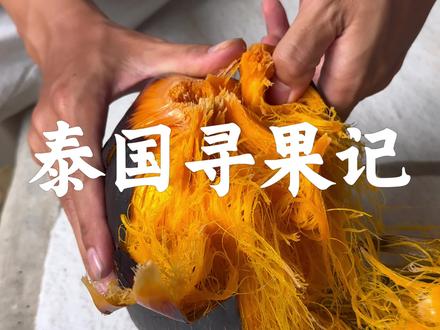 泰国寻果记 第十五集:糖棕果不仅可以制作糖棕糕,还可以制作果壳摇铃。#糖棕#热带植物#抖音商城 #水铃桐#果壳摇铃