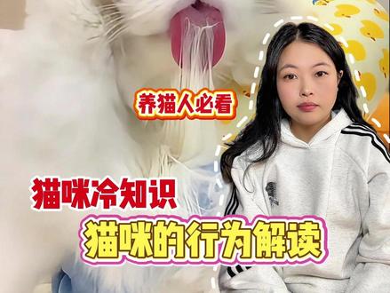 猫咪为什么要舔毛,很多铲屎官竟然不知道 ##养猫必看# ##猫咪行为解 #新手养猫攻略#铲屎官的自我修养 #科学养宠攻略 #猫咪的迷惑行为