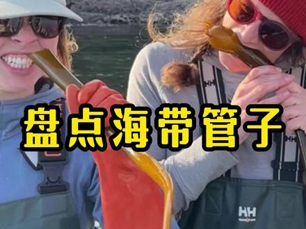 海带也长管子吗? #海带 #公牛海带 #涨知识 #奇闻趣事