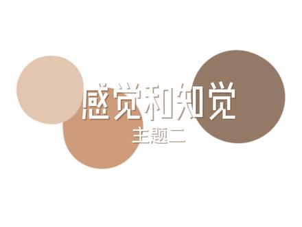 感觉和知觉 幼儿心理学 #学习 #技能高考湖北 #技能高考学前教育 #幼师