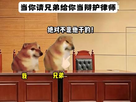 当你请兄弟给你当辩护律师时#猫meme #猫meme小剧场 #搞笑 #万万没想到 #兄弟情