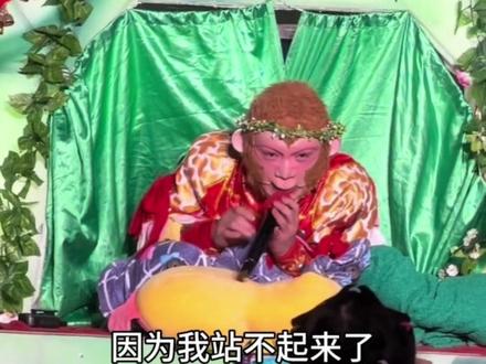 雪饼猴王铁柱腰部突然扭伤,仍坚持带病演出,就是为了游客不失望。目前长春动植物公园宣布铁柱休养一段,暂停演出!让我们一起祝福铁柱早日康复,重回舞台!感谢他这些年对家长的巨大贡献!#雪饼猴