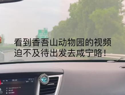 #咸宁 #咸宁文旅 #咸宁旅游 #旅游 #香吾山动物园
进到动物园一瞬间泪目了
哎,很像小时候的动物园
可以近距离观察和接触
这次更近😂跟老虎狮子就隔1米远,蛮震撼的
看到小动物们都这么干净健康,真的很感动🥲
感谢抖音
感谢园长一家
人好!!!很感动 🥹