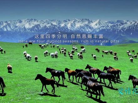 巴尔鲁克山下的明珠—裕民#治愈系风景 #宣传片