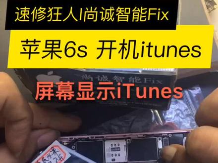 苹果6s 无法开机 粉丝求救,安排