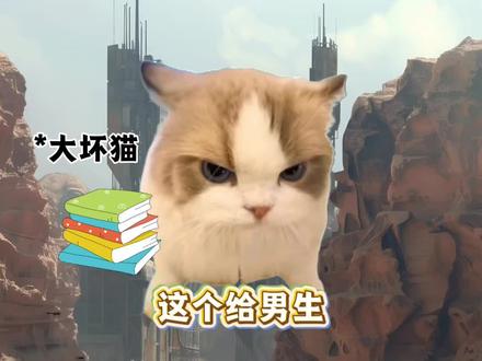 暂停一下,小猫有话说#猫meme #猫meme小剧场