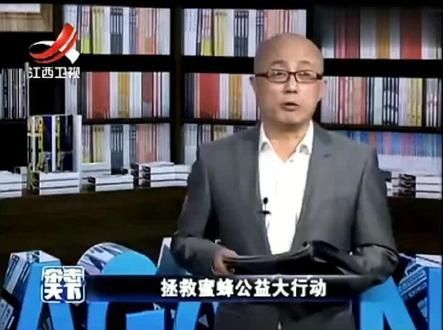 国家要保护蜜蜂,拯救蜜蜂公益大行动!#科普 #蜜蜂 #拯救蜜蜂