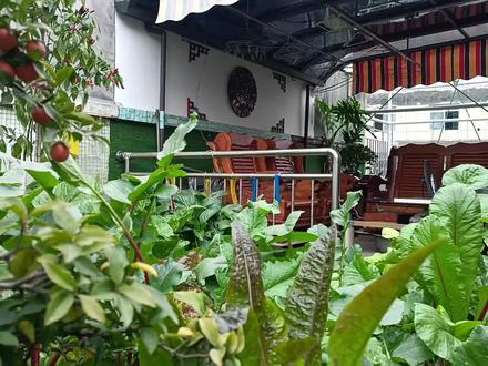 摘点甜菜心再拔几个水果萝卜,做两个家常菜#我的小菜园#新鲜采摘 #摘菜#做菜我是认真的努力做好每一道菜 #自己种的纯天然的绿色蔬菜