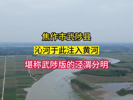 焦作市武陟县,沁河于此注入黄河,堪称武陟版的泾渭分明#武陟 #沁河