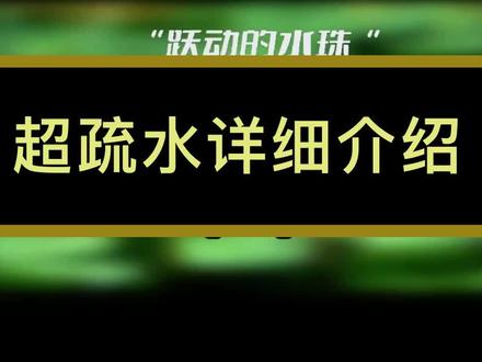 疏水二氧化硅制备介绍#疏水二氧化硅 #超疏水