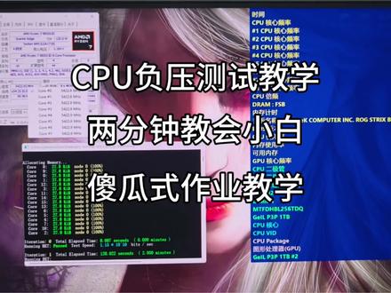 傻瓜式教学跑YC测试软件 只需要记住视频里数字对应的选项,yc不同版本数字对应功能也不同得注意看,不管怎么变动你只需要看功能选项对应的数字按下就行#电脑好像有情绪了 #CPU测试 #AMD #分核负压 #9800x3d