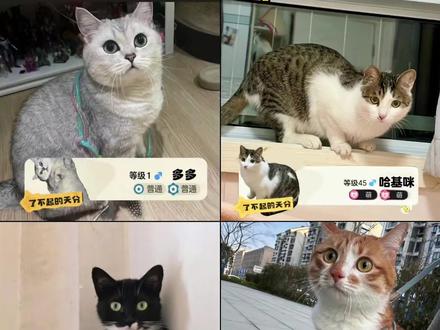 洛克王国了不起的P图 洛克王国豆包AI指令 #豆包ai#豆包出大片有两把刷子#洛克王国快速升级攻略#洛克王国好玩吗#洛克王国 洛克王国了不起的p图素材 洛克王国素材图片 洛克王国了不起的天分 克王国p图素材抠图素材