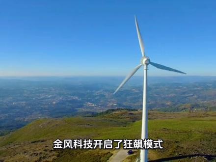 今天我们来聊聊金风科技!