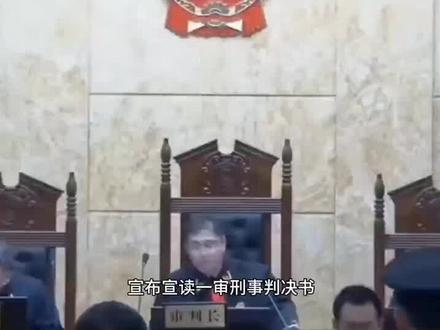 感受一下辩护律师的超强输出#辩护律师