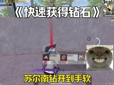 快速获得苏尔南钻石教学