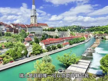 你知道一次安乐死需要多少钱吗