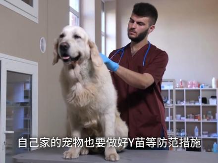 狂犬病有多可怕?如果得了这种病会怎么样?#科普 #知识分享#冷知识