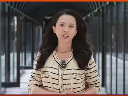 谷歌前AI核心科学家:为什么大语言模型没法实现AGI? #燃起来了大国重器 #真财实学计划 #谷歌 #Gemini #大模型
