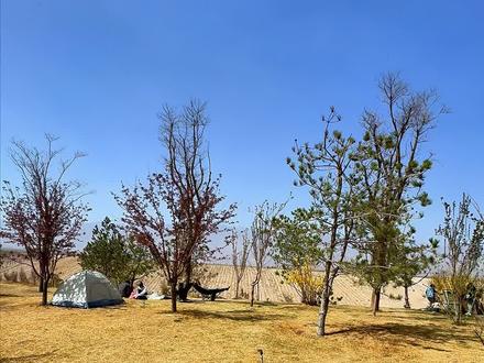 🏕️贺兰山下免费露营地没有封闭,新的路线帮大家整理出来了,记得收藏哦!#城市周边露营好去处 #银川周边露营