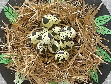 小朋友都喜欢的手工贴画-鹌鹑蛋,观察蛋壳的花纹特征#手工diy #兴趣才艺 #创意美术 #幼儿园手工 #手工