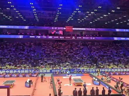 争议!樊振东盘点时刻,林诗栋怒指看台,球迷喊声闪光灯干扰