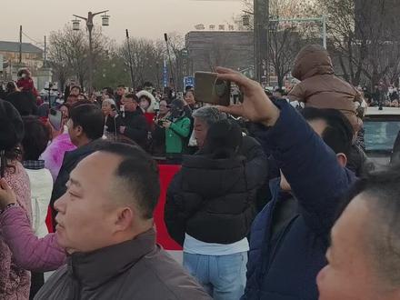 #东天山来的骆驼队 骆驼到达泾阳茯茶小镇~#茯茶镇