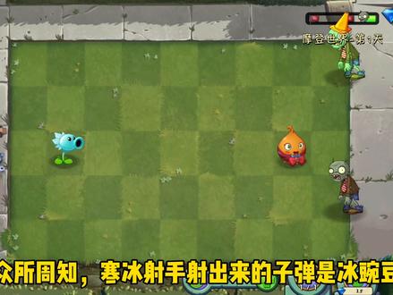 植物大战僵尸2:寒冰射手配合火炬树桩的紫火伤害如何呢?