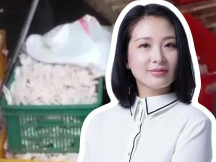 双氧水泡过的鸡爪,你敢啃吗?打着增高旗号忽悠“骨骺线闭合还能长”,你信吗?AI搜索出来的“良心推荐”,背后竟是商家花钱“投毒”操控的,你怕了么?就在昨晚,2026年的“3·15”晚会再次撕开了这些黑心商家的画皮。#315曝光名单#2026年315晚会曝光名单#漂白鸡爪企业致歉#网红鸡爪用双氧水“漂白”#医美神药外泌体是“三无”产品