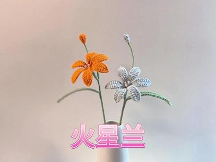 火星兰钩织教程 #手工 #钩织教程 #永生花
