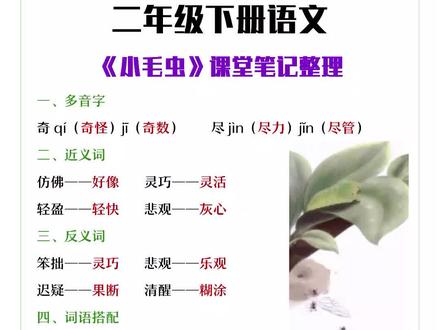 二年级下册语文《小毛虫》课堂笔记整理#小毛虫 #课堂笔记 #二年级语文 #预习新课