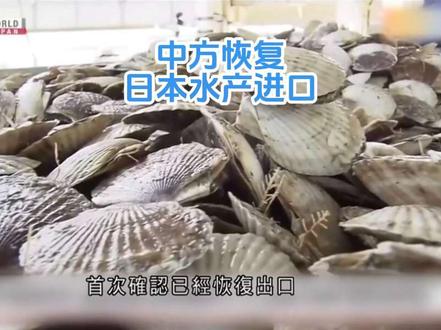 无线新闻:中方恢复日本水产进口2025-11-07