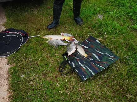 合肥钓友们,校长探钓巢湖柘皋河道结束,鱼情暴躁不管台钓或路亚 #钓友 #垂钓 #钓鱼 #钓点 #户外钓 #远投 #路亚放流 #路亚野钓 #翘嘴 #路亚翘嘴