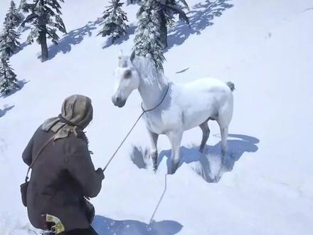 荒野大镖客2中被玩家公认的五匹宝藏级神马!#荒野大镖客2